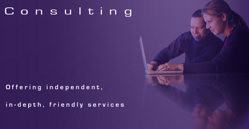 Independent, in-depth consulting services